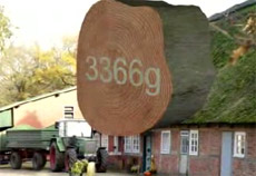 ��������� ������ ����� ��������. � ������� (����������� � ����� fraunhofer.de).