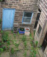 �� ��� ���. �� � ����� �������, ������ ����? � ���� ��������� ������, ����� ������� �� ��� "�����" ����� ������� � ������ (���� � ����� therossendalefreepress.co.uk).