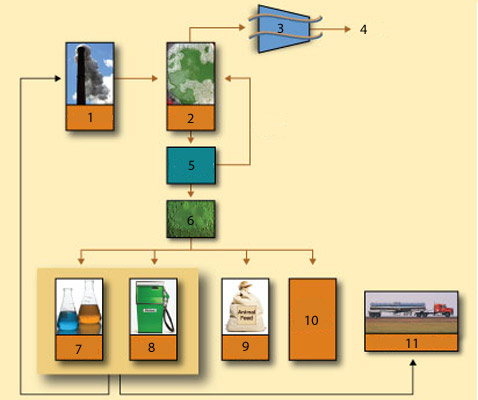    Emissions-to-Biofuels: 1     , 2    , 3  , 4     , 5    (,       ), 6  , 7  , , 8  , 9   , 10   , 11    ( E85). ,         , ,       ,       ,    ( GreenFuel Technologies).