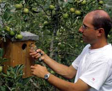 ������� �������� ����� ����. ��������, ������� �� ����� �������, ��� �� ���� ������� ����. ������, � ����� ������, �� � ���� �������� (���� � ����� vogelwarte.ch).