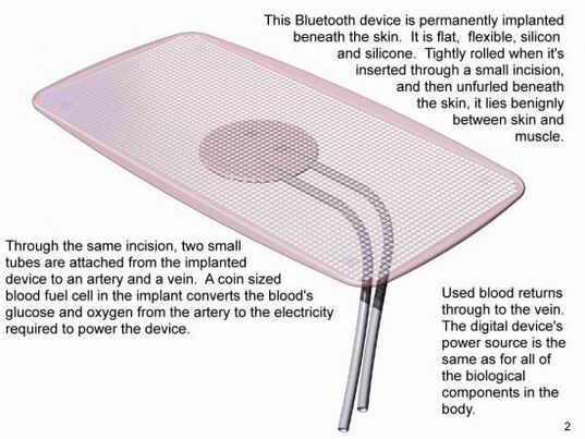 ������� ���������� �������� � ���� ����������