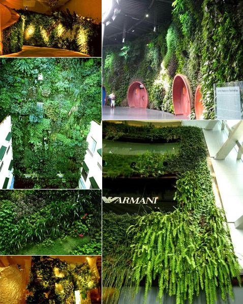  Vertical Garden          ,    , , , , , , , , , , ,      (   verticalgardenpatrickblanc.com).