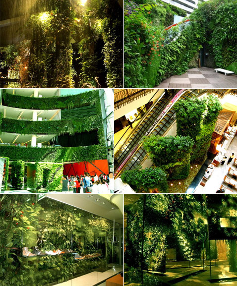   Vertical Garden  , ,  ,     (   verticalgardenpatrickblanc.com).