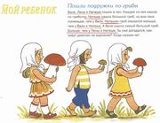 ���������� �������