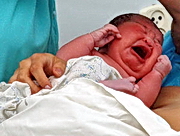 ������� ������������� �����������������.