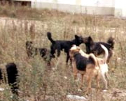 �������� ������ � ��������� ������ 