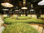 ������ �������� ������ �� ������� ��� �����