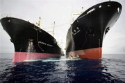  Greenpeace    Nisshin Maru