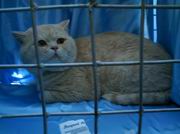 ������������� �������� ����� � ���������