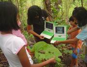 ������� ������� ������ � ������ �������� ����