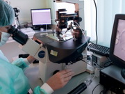 �������� ���������� ���������� ������ �� ������ ������� ����