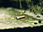 � ������������ �������� ���������� �� ��������� �����