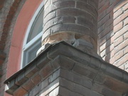 � ����� �������� ����������� ������� � ������� �� ������� ��������