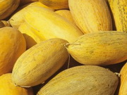 ���������������� �������� ���� 20 ���� ���� �� ����������