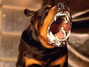 � ��������� ��������� ���� �� ������ ������� � �������