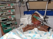 � ���-�������� ��������������� ���������� �� ���� ��������