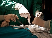 ������������� ������ ����� ������� ������� ����� � �����