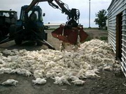 ������� �������