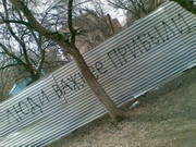 ���������� ��������� ���������������� �������� � ���������� ��������