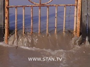 ������ ������������