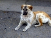 ������������ ������ ����� ������ ������� � ������� ������ �����