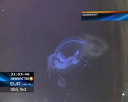 ������������ ������� ��������� ������� �� ��������