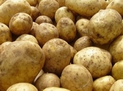 �������� ������������ ������� �� 1,2 ����� ��������� �� 20 ���