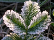 ����������� ������� ��� ���������� ���������� �� ��������� ������