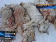 ��������� ������ � �������������� �������