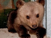 ��������� ���� �� ����� ��������� ��������� � ����������� � �������� ����������