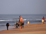 ����������� ���������� ������������ �������� ���� ������ ����