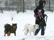 ��������� ��������� ������ ��������� ���������� ����� � �����