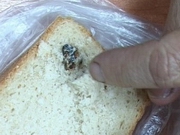 ����� ������� ����� � ����� ����������� �� ������