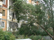 �������� ����� �� 30 ������ � ������� ��������� � ���