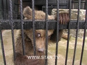 �������� ��� ����