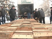 ������� ���� � ����������