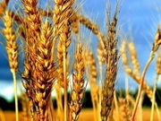 ��������� � ������ ����� �������������� �������� �� ������� ����� �����