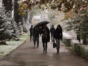 ������ � ����������� �������������� �� ������� � ���-������� ��