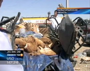 ����������, ������ �� �����������, ������������� �� �����