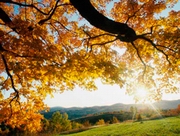 � �������� ����� ������������� ������ ����� �� 80 ���