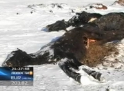 ������������ ������� ������ ���� �� ����� �� ��������� ��������� ����