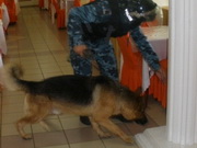 ����� � ������ 