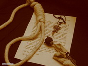 � ���������� �������� � ��� ���� ������, ��� �������