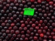 ������ �� ����� ���� ������� ��������� �������� �� �����