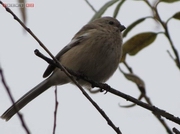 � ��������� ������� ����� ������� � ��������� �� ���� 