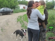 ������-��������� ���������� ������� ��������� ��������