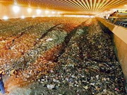 ��������� ���� ��������� ������ �� ����� ���� � �������������� ������������