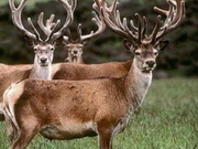 ������������ ����� ��������� � �������� ����������