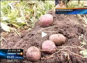 �������� ��������� ������� ������������ ���������