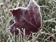 � ����� �������� ���������� � 13 �� 16 �������� ��������� ���������